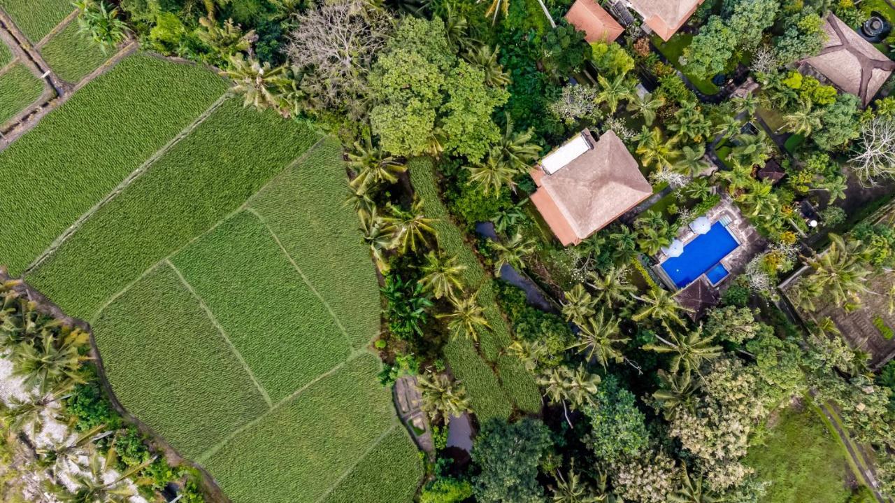Alam Shanti Ubud ภายนอก รูปภาพ